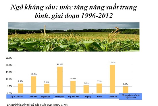 Cây trồng công nghệ sinh học tiếp tục mang lại nhiều lợi ích lớn về môi trường ảnh 1